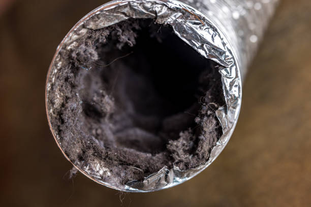 Best Commercial Air Duct Cleaning  in Minneola, FL